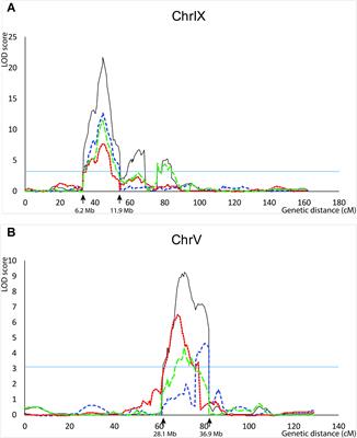 QTL Mapping Combined With Comparative Analyses Identified Candidate Genes for Reduced Shattering in Setaria italica